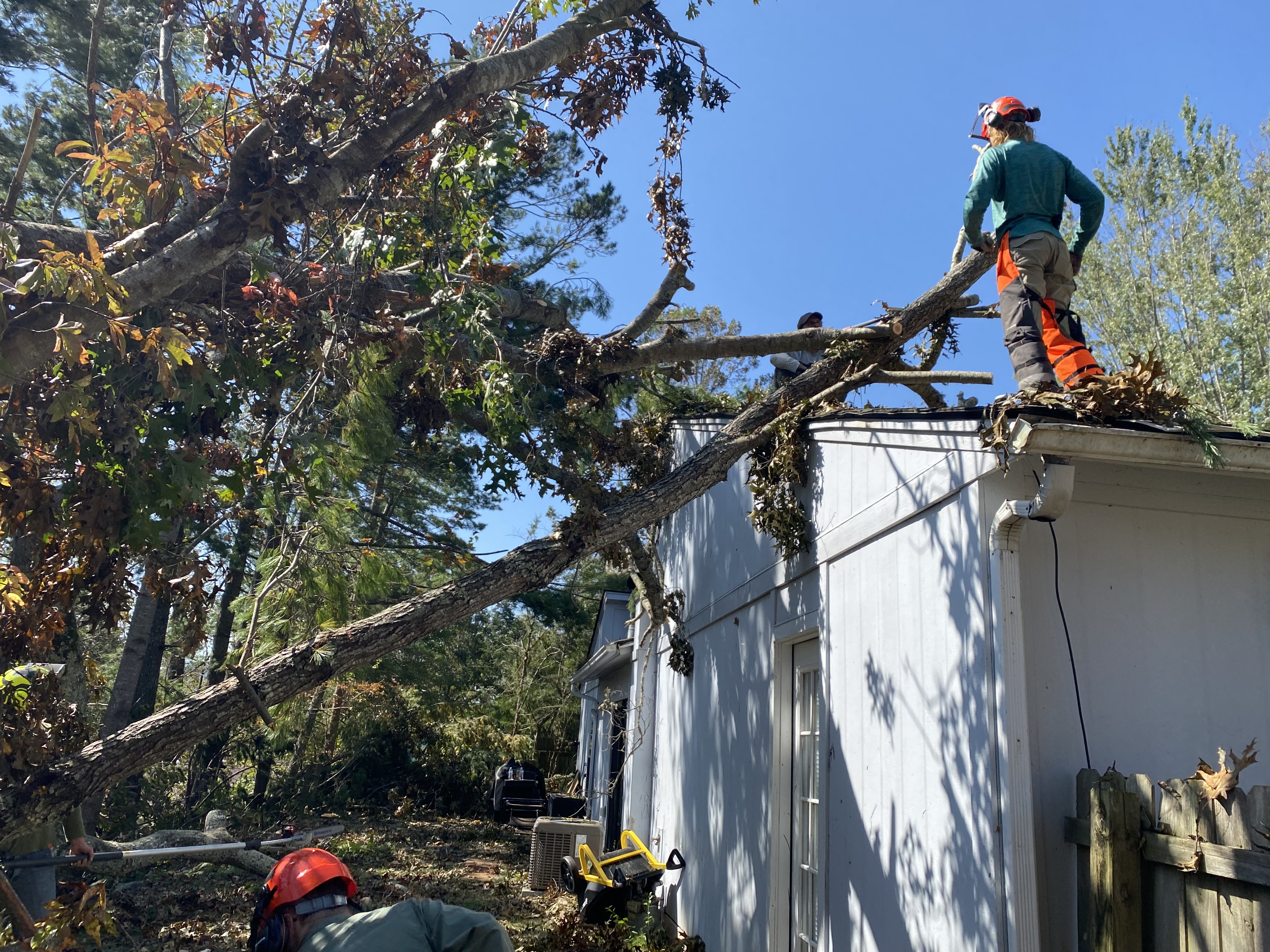 forestry management student on roof in PPE removing fallen tree